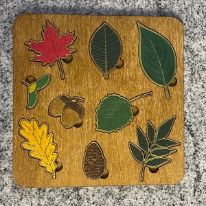 Children's Leaf Montessori Identification Puzzle