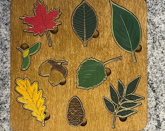 Children's Leaf Montessori Identification Puzzle