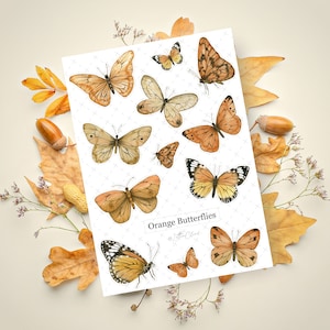 Oranje vlinders • Dagboekstickervel • Plannerstickers