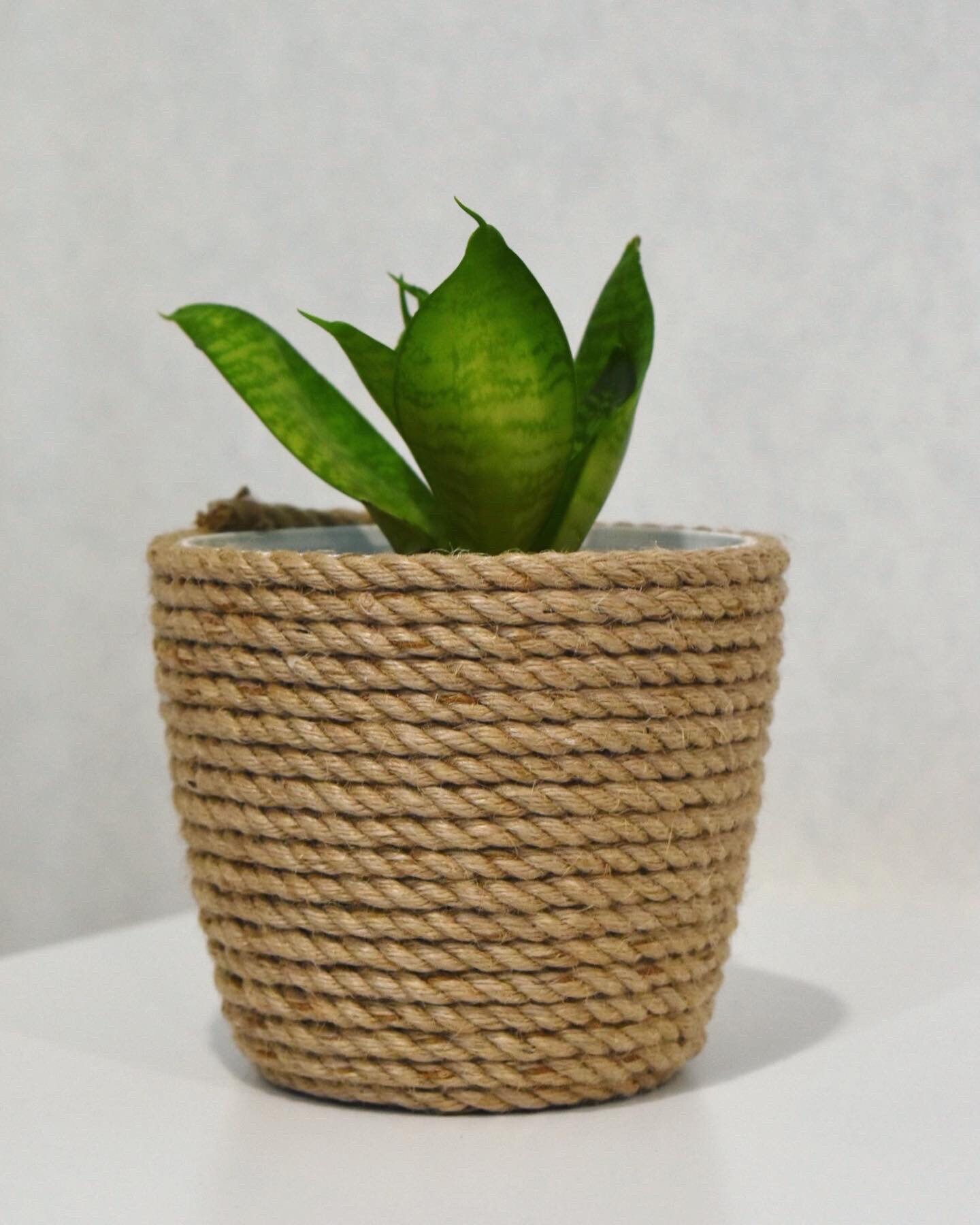 Planter wrapped with jute rope Etsy