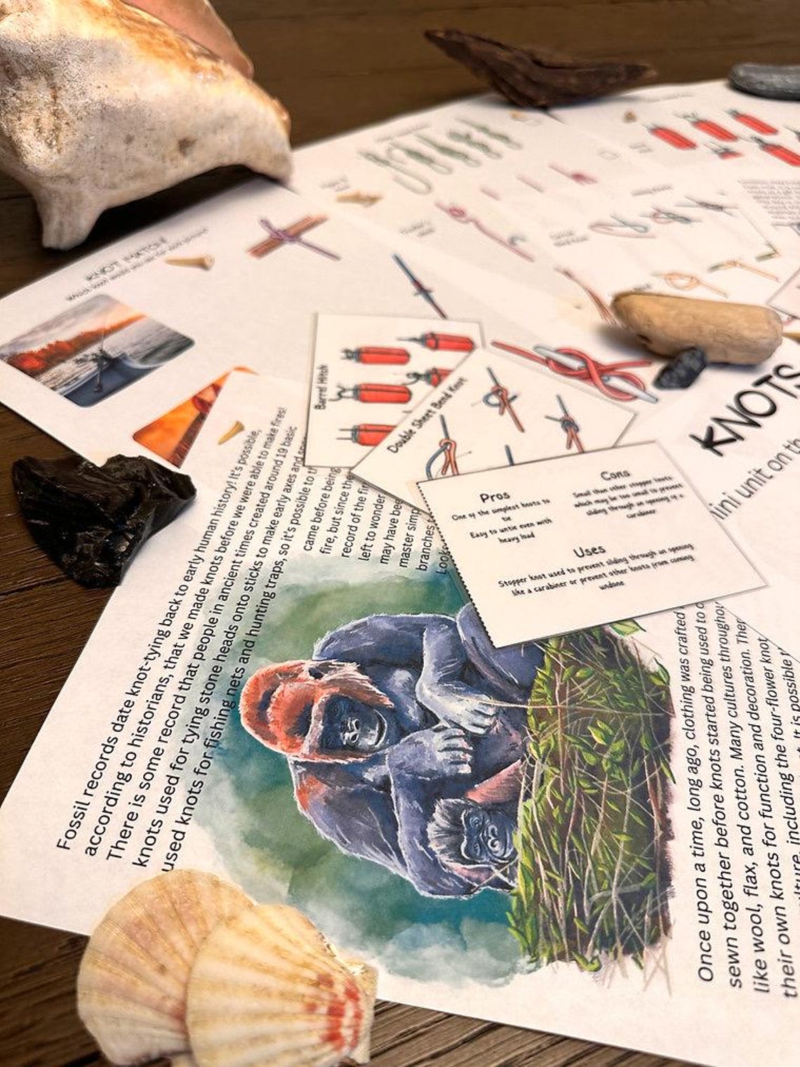 Knots Unit Study: the History and Uses of by Heart Spark Homeschool - Etsy
