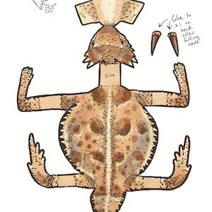 Digital Download printable Horny Toad craft