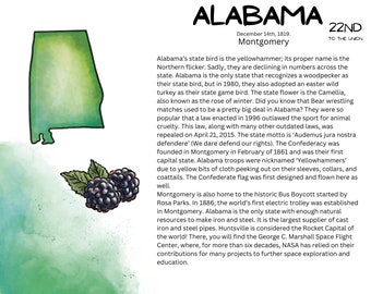 Heart Spark Homeschool 50 States Unit Study: SOUTHEAST