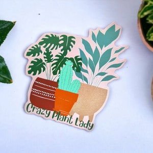 Crazy Plant Lady, Vinyl Aufkleber, Pflanzen Aufkleber, Boho Aufkleber, wasserfest, Boho Pflanzen, Pflanzen Geschenk, botanische Aufkleber, Kaktus Aufkleber