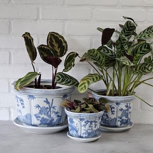 Set of 3 vintage Chinese planters porcelain with drainage hole and saucer, white and blue floral motif , Plant pot indoor/outdoor, Cache pot