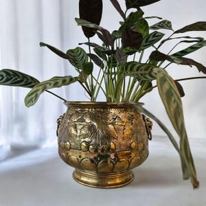 Brass gold footed planter with embossed cherries and lion heads handles with rings, Indoor/outdoor planter, vintage cachepot