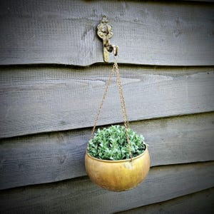 Könnte beinhalten: Ein hängender Blumentopf aus Messing mit einer Kette und einem dekorativen Haken. Der Topf ist mit grünen Pflanzen gefüllt.
