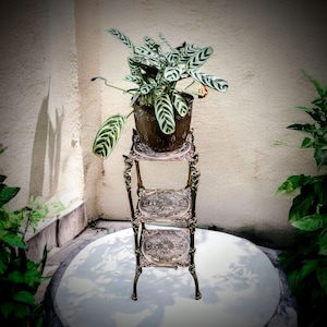 Victorian brass plant table, gold plant stand 3 tiers, brass side table, ornate brass coffee table with grapes, angels and lion paws legs.