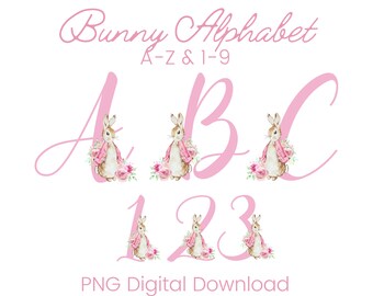 May include: Pink bunny alphabet letters A, B, C and numbers 1, 2, 3 with floral accents.  PNG Digital Download.