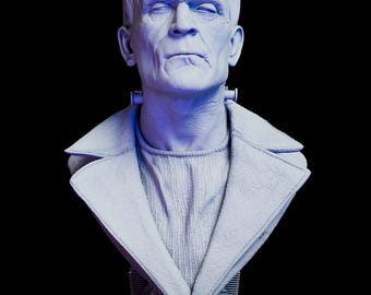 Frankenstein’s Monster Resin Bust Kit, Gothic Horror Sculpture, Classic Monster Figure, Halloween Decor, Collectible Gift for Horror Fans
