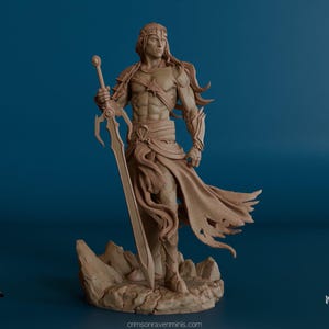 Elf Sorcerer-Warrior Figure Model Kit