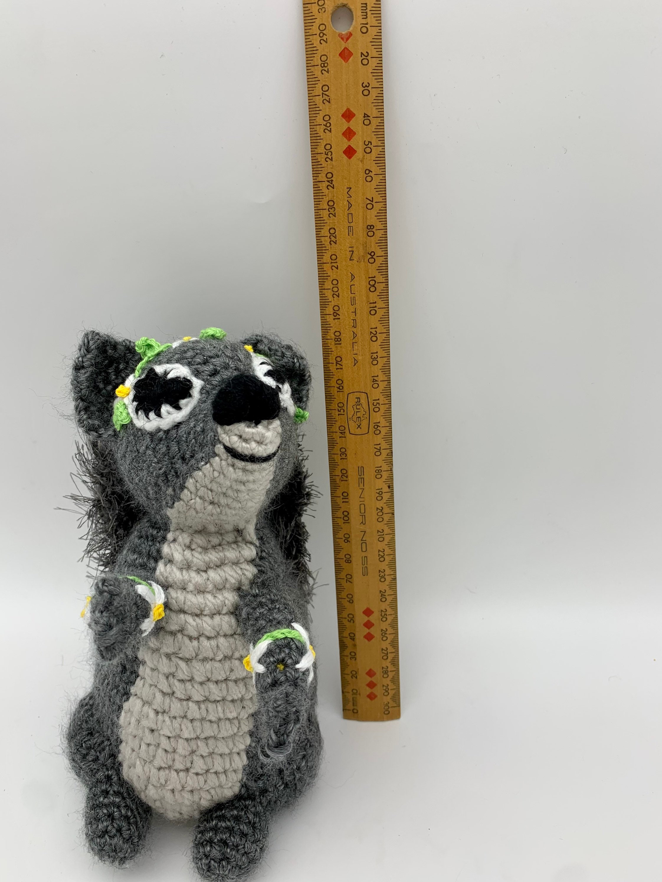 miniature teddy cat ❷ CTN23__53013.1372973185.500.