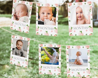 Berry First Birthday Photo Banner, 1st Birthday Photo Banner, Strawberry Birthday, Monthly Milestone Photo Cards, Editable, BD17
