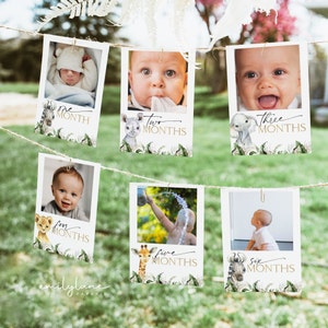 Wild One First Year Photo Banner, 1st Birthday Milestone, First Year Month Photos, Monthly Photo Banner, Safari Birthday, Wild One, BD05