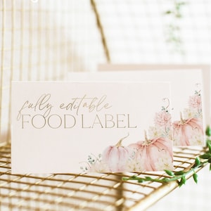 Etiquetas de alimentos de calabaza, tarjeta de etiqueta de alimentos de baby shower rosa, etiquetas de alimentos de baby shower de calabaza rosa, tarjetas de alimentos dobladas, etiquetas de alimentos en tiendas de campaña, BBS37