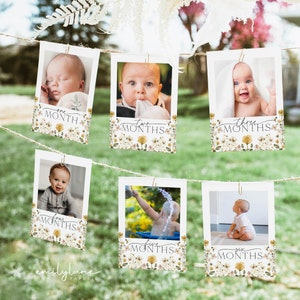 First Birthday Photo Banner, 1st Bee Day Photo Banner, Bee Birthday, Monthly Milestone Photo Cards, Editable, Instant Download
