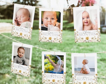 First Birthday Photo Banner, 1st Bee Day Photo Banner, Bee Birthday, Monthly Milestone Photo Cards, Editable, Instant Download