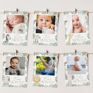 Wild One First Year Photo Banner, 1st Birthday Milestone Photos, First Year Month Photos, Monthly Photo Banner, Safari 1st Birthday, BD86