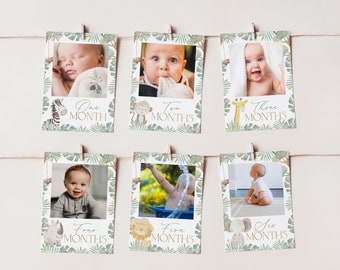 Wild One First Year Photo Banner, 1st Birthday Milestone Photos, First Year Month Photos, Monthly Photo Banner, Safari 1st Birthday, BD86