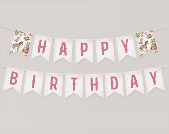 Rodeo Happy Birthday Banner, Pink Rodeo Western Happy 1st Birthday Banner, Girl 1st Birthday Decor, Rodeo 1st Birthday, First Birthday, BD81