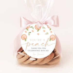 Peach Birthday Thank You Favor Tag, Birthday Thank You Favor Tag, Sweet as a Peach Birthday Thank You, Girl First Birthday Peach, BD16
