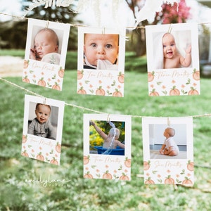 Erster Geburtstag Fotobanner, Pfirsich Geburtstag Fotobanner, süß wie ein Pfirsich, monatliche Meilenstein Fotokarten, bearbeitbar, Sofort Download, BD16
