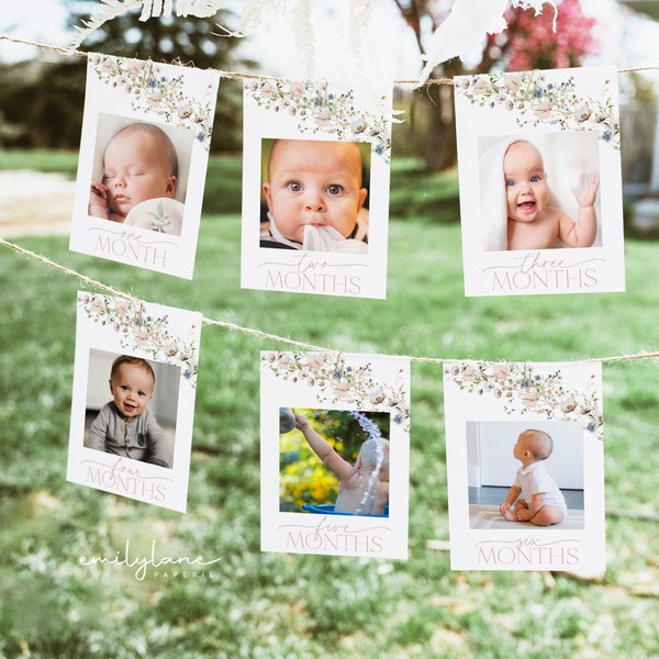 First Birthday Photo Banner, Wildflower Photo Banner, Wildflower Birthday, Monthly Milestone Photo Cards, Editable, Instant Download, BD13