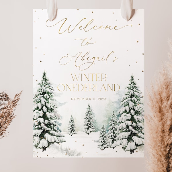 Winter Onederland Welcome Sign Printable, Winter Woodland 1st Birthday Welcome Sign, Winter Birthday Welcome Sign, Snow Woodland Sign, BD58