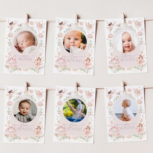 Boho Arch Fairy First Year Photo Banner, 1st Birthday Milestone Banner, 1st Year Month Photo, Monthly Photo Banner, Fairy 1st Birthday, BD83