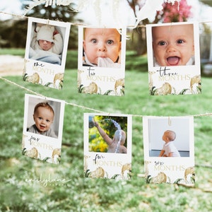 Wild One Year Photo Banner, 1st Birthday Milestone, First Year Month Photos, Monthly Photo Banner, Wild One Birthday, Safari Birthday, BD01