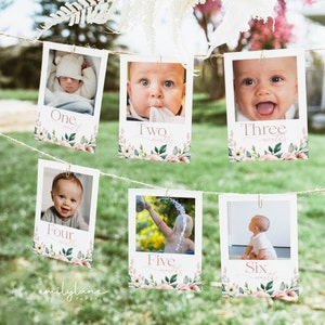 Little Miss Onederful First Year Photo Banner, 1st Birthday Milestone, First Year Month Photos, Monthly Photo Banner, Onederful Birthday, M3