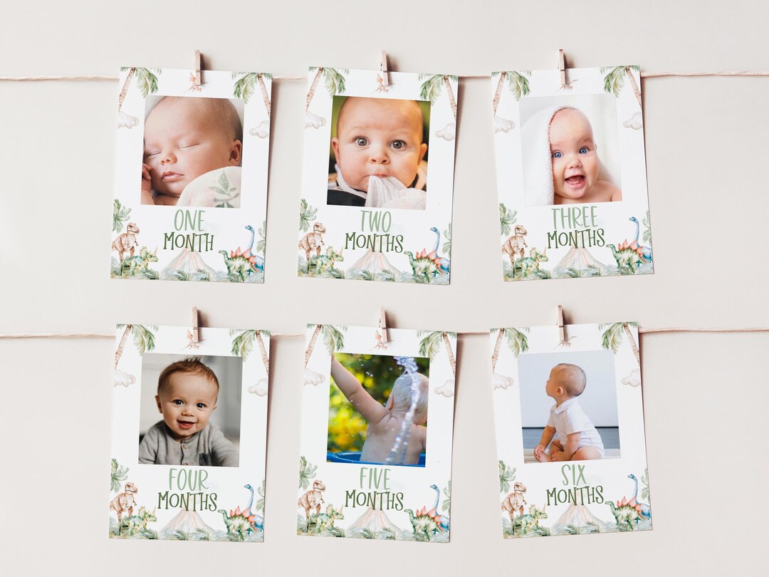 Dinosaur 1st Year Photo Banner, 1st Birthday Milestone Photos, Baby's ...