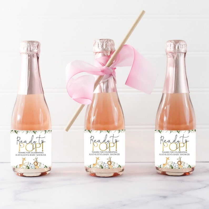 Check out these Boy Story baby shower ideas including this boy story baby shower party favor