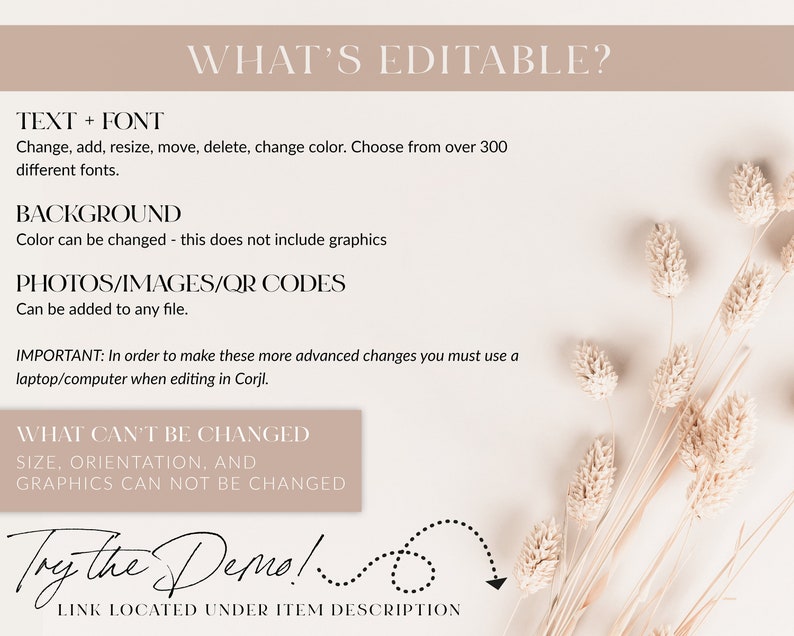 May include: A beige background with a text overlay that reads "WHAT'S EDITABLE?" and lists editable features for a digital template. The text overlay is in a black font. The background features a bouquet of dried beige flowers.