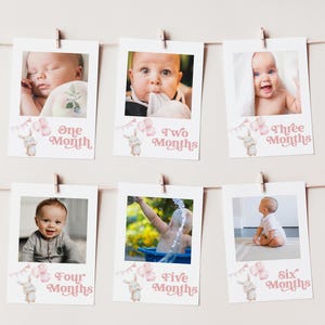 Bunny 12 Month Photo Banner, 1st Birthday Milestone Photo, Baby's First Year Monthly Photo Banner, Some Bunny is One, One Year Banner, BD128