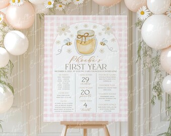 Bee 1st Birthday Milestone Sign, Birthday Milestone Board, Baby First Year Sign, Baby 1st Year Milestone Sign, Daisies Pink Gingham, BD148