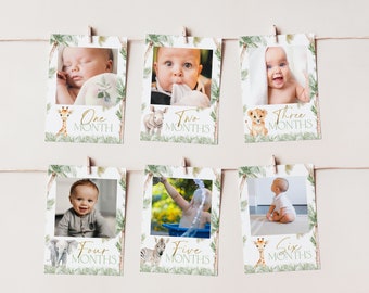 Wild One First Year Photo Banner, 1st Birthday Milestone Photos, First Year Month Photos, Monthly Photo Banner, Safari 1st Birthday, BD107