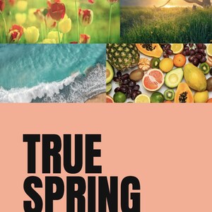 True Spring Color Season Guide | Digital PDF Download | Wardrobe & Makeup Guide for Your Color Analysis