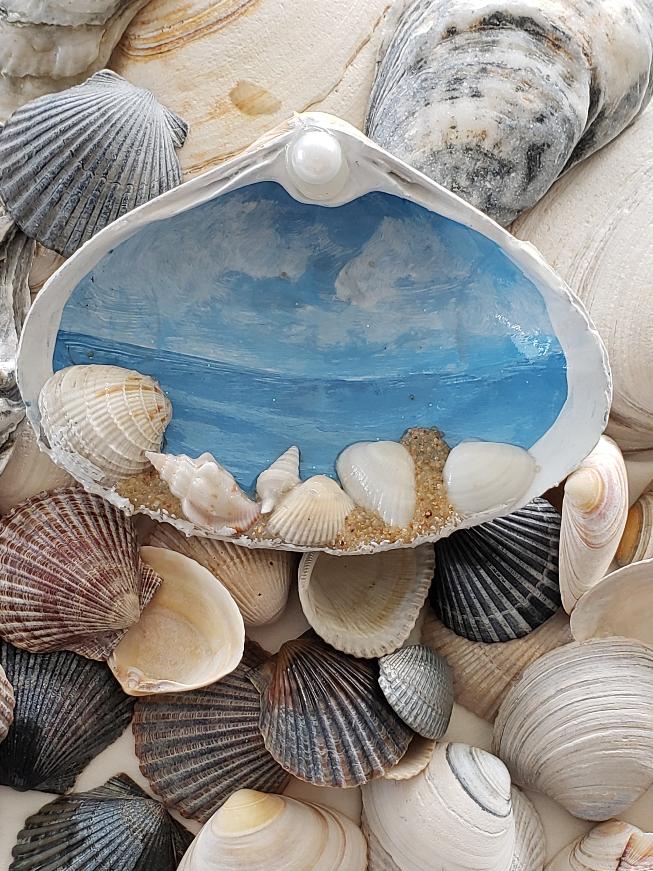 Painted shell painted seashell painted clam shells coastal Etsy