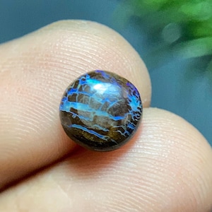 May include: A small, round, polished boulder opal gemstone featuring a dark brown base color with vibrant, electric blue veins and flashes of light running across its surface in a web-like pattern, displaying a smooth, domed cabochon shape.