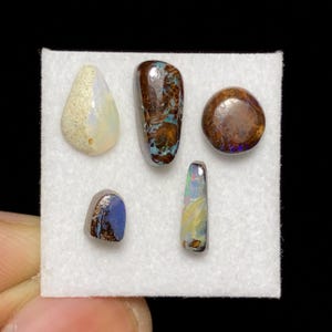 May include: Five polished opal gemstones arranged on a white square display card. The collection includes a teardrop-shaped white opal, a tall rectangular brown boulder opal, a round brown opal, a small blue opal, and a thin rectangular opal.