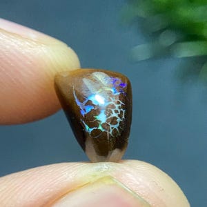 May include: A polished boulder opal gemstone featuring a dark brown ironstone matrix with a vibrant, iridescent play-of-color pattern in shades of electric blue, green, and violet, displaying a distinct web-like structure across the surface.