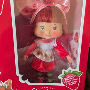 Strawberry shortcake doll.  New in box