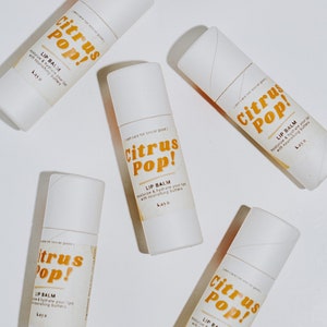 Moisturizing Lip Balm | Gifts, Holidays, Stocking Stuffer, Hydrating, Zero Waste, Eco-friendly, Party Favors