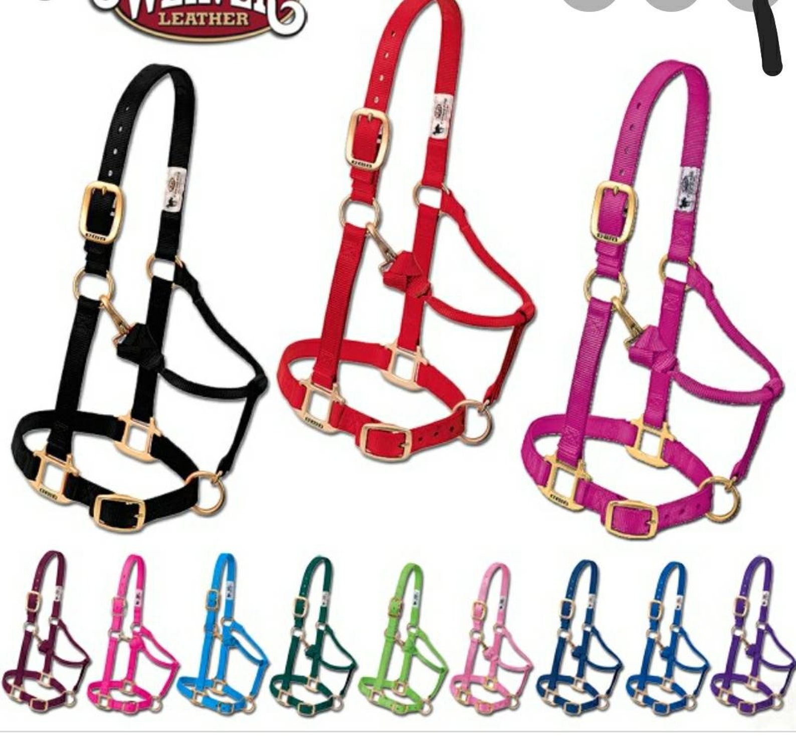 Custom Horse Halter Noseband, Custom Noseband, Paracord Noseband, Horse