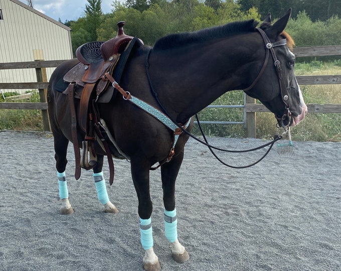 Ensemble Bride Et Collier Western – Cuir Marron Et Turquoise – Challenger – Neuf