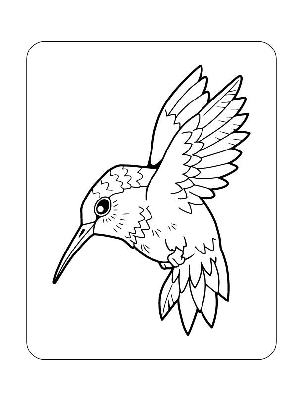 Birds Coloring Pages For Kids | Etsy