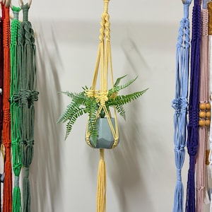 Colgador de plantas de macramé con forma de libélula