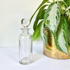 May include: A clear glass bottle with a round stopper. The bottle is cylindrical with a narrow neck and a rounded base. The stopper is a clear glass sphere. A green plant with large leaves is in the background.
