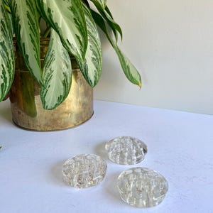 Ranas de cristal con flores antiguas